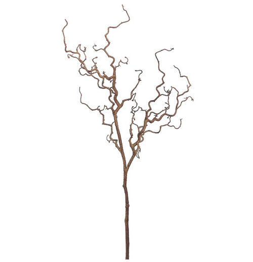 Dried Look Twig Spray - 47"