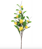 Lemon Spray - 35