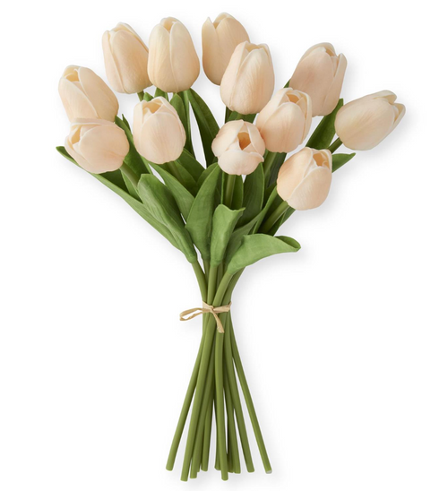 Mini Tulip Bundle - Peach