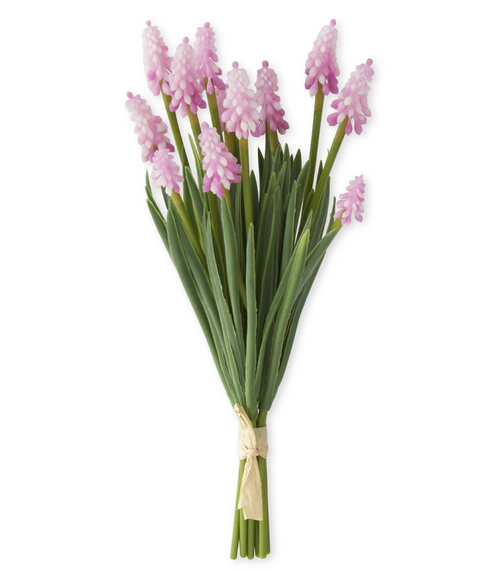 Grape Hyacinth Bundle - Pink