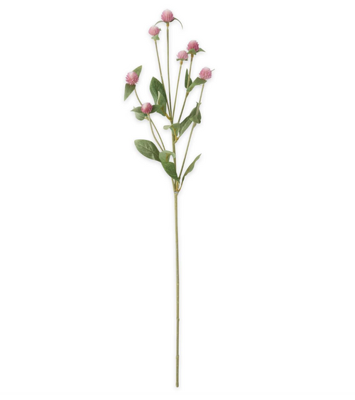 Pink Globe Amaranth Spray - 28"