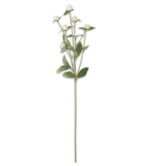 White Globe Amaranth Spray - 28"