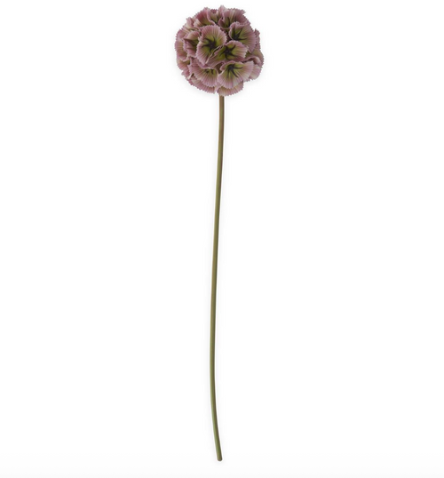 Light Purple Scabiosa Pod Stem - 22"