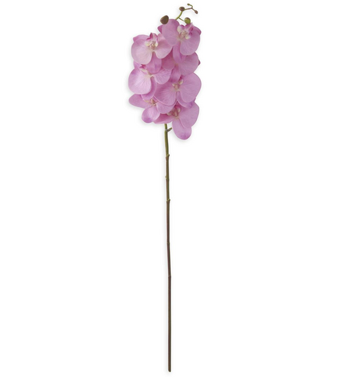 Light Purple Orchid Stem - 34.5"
