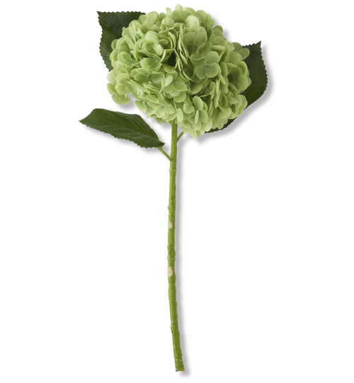 Green Hydrangea Stem - 20"
