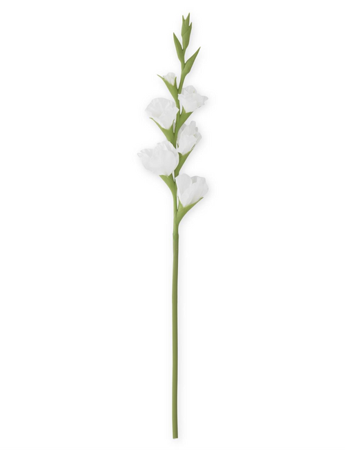 White Gladiolus Stem - 34"