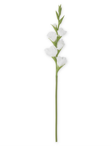 White Gladiolus Stem - 34"