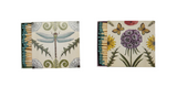 Insect and Botanical Matchbox