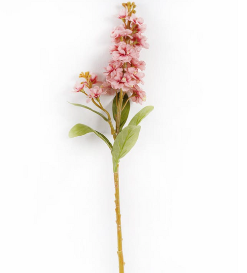 Dark Pink Stock Stem