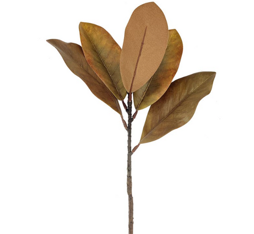 Chili Magnolia Pick