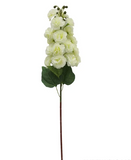 White Cottage Hollyhock