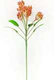 Red Rosehip Stem