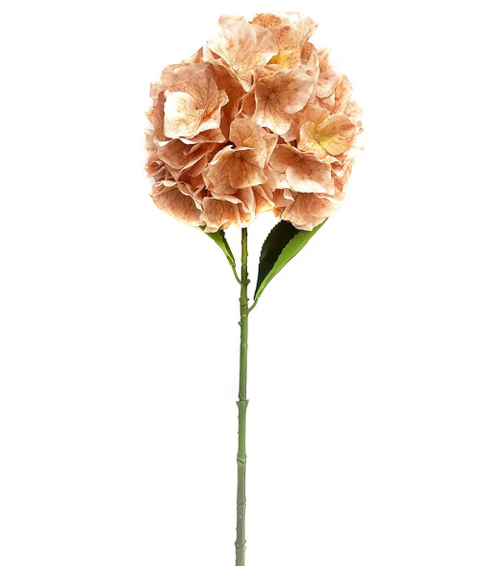 Nude Jardin Hydrangea