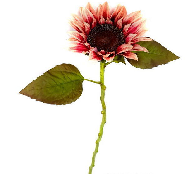Raspberry Sunflower Stem