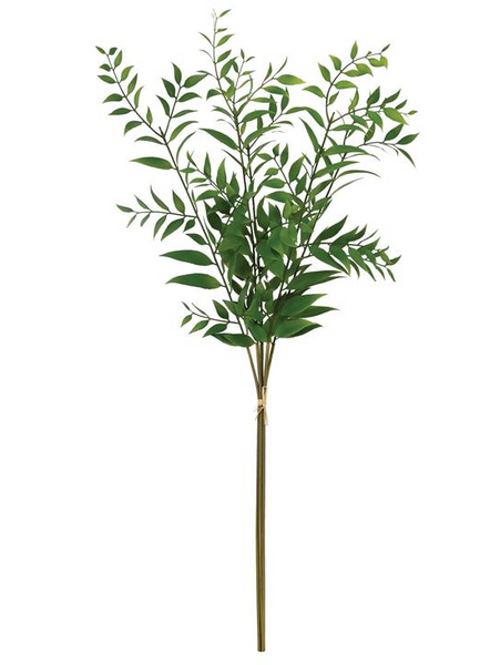 Smilax Leaf Bundle