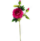 Contessa Real Touch Peony - 31.5