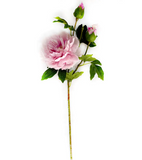 Contessa Real Touch Peony - 31.5