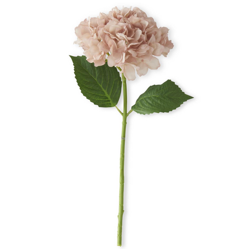Light Peach Hydrangea Stem - 20"