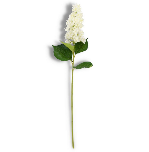 White Cone Hydrangea Stem - 38.5"