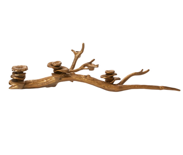 Oyster Mushroom Taper Candle Holder