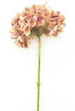 Antique Brown Hydrangea Stem