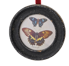 Butterfly Frame Ornaments