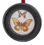 Butterfly Frame Ornaments