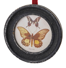 Butterfly Frame Ornaments