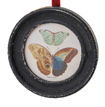 Butterfly Frame Ornaments
