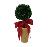 Mini Boxwood Topiaries