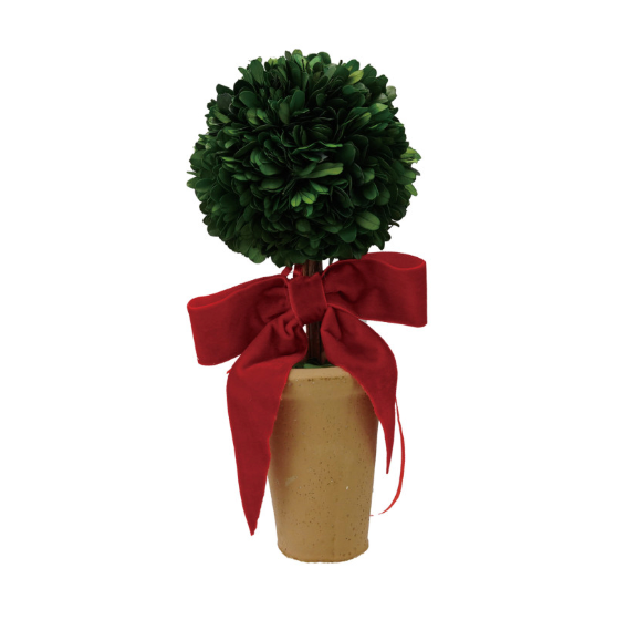 Mini Boxwood Topiaries