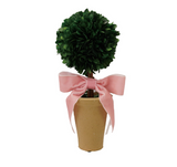 Mini Boxwood Topiaries