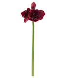 Real Touch Burgundy Amaryllis Stem - 28