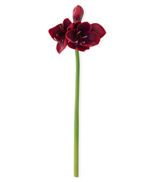 Real Touch Burgundy Amaryllis Stem - 28"
