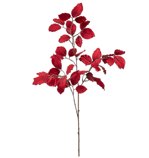 Red Velvet Beech Spray - 39"