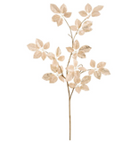 Gold Lace Schefflera Spray - 50