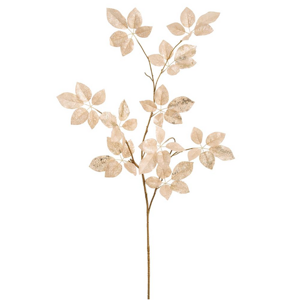 Gold Lace Schefflera Spray - 50"
