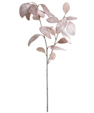 Beige Velvet Eucalyptus Spray - 31