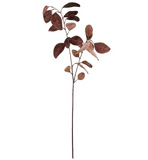 Brown Velvet Eucalyptus Spray - 31