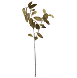 Green Velvet Eucalyptus Spray - 31