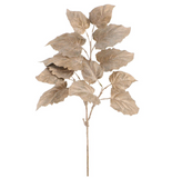 Glittered Beige Hydrangea Leaf Spray - 29