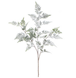 Snowed Fern Spray - 40