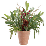 Holiday Terracotta Planter