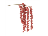 Icy Hanging Berry Branch