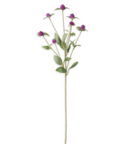 Purple Globe Amaranth Spray - 28