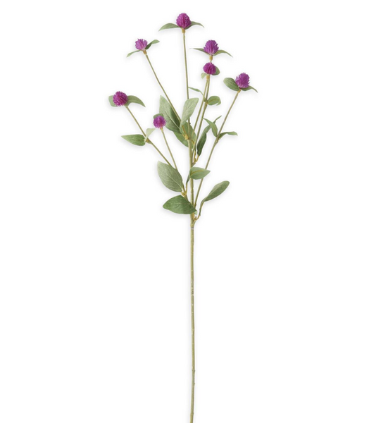 Purple Globe Amaranth Spray - 28"