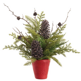 Pine and Pinecones in Cement Pot