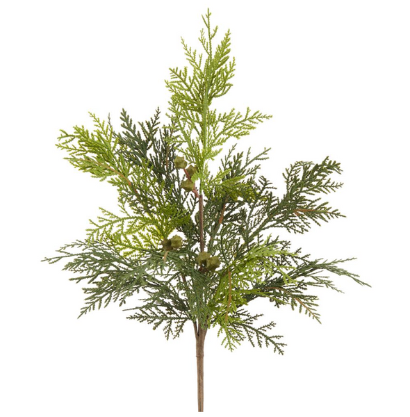 Cedar Bush - 16"L