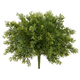 Soft Juniper Bush - 12