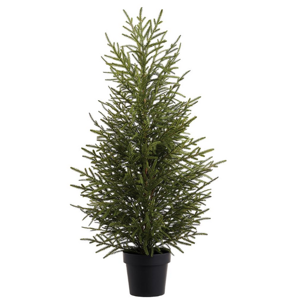 Potted Cypress Trees